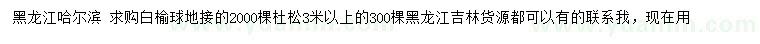 求購3米以上白榆球、杜松