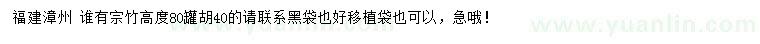 求購高80公分宗竹