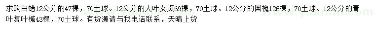 求購白蠟、大葉女貞、國槐等