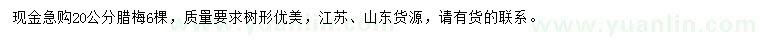 求購20公分臘梅
