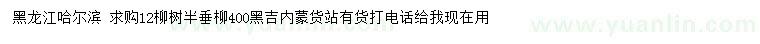 求購12公分柳樹