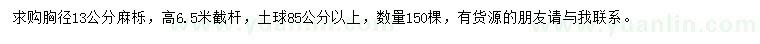 求購13公分麻櫟