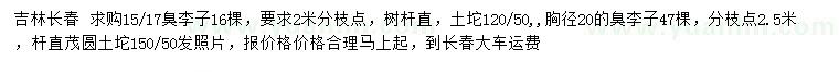求購15、17、20公分臭李子