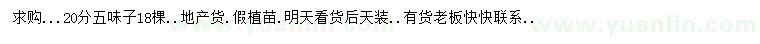 求購20公分五味子