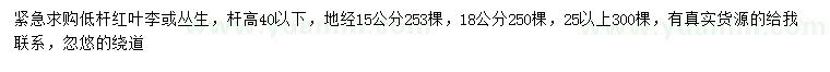 求購(gòu)地徑15、18、25公分以上紅葉李