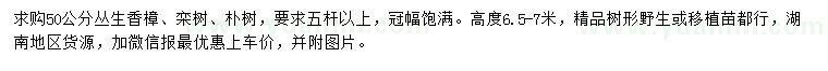 求購香樟、欒樹、樸樹