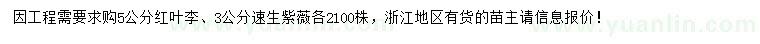 求購5公分紅葉李、3公分紫薇