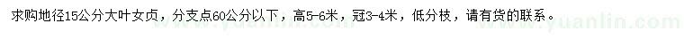 求購(gòu)地徑15公分大葉女貞