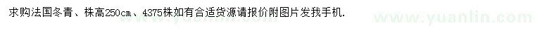 求購株高250公分法國冬青