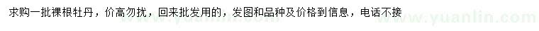 求購牡丹