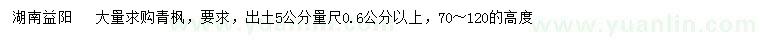 求購出土5公分量0.6公分以上青楓