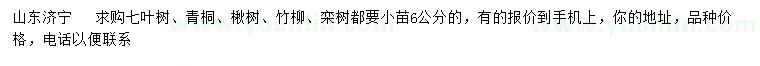 求購七葉樹、青桐、楸樹等