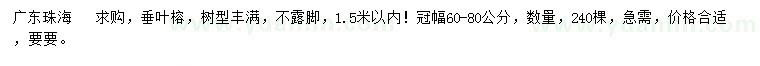 求購(gòu)1.5米以內(nèi)垂葉榕