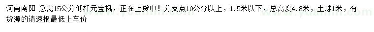 求購15公分低桿元寶楓