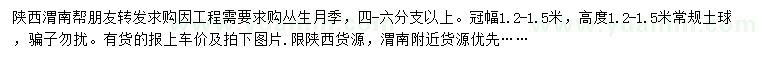 求購冠幅1.2-1.5米叢生月季