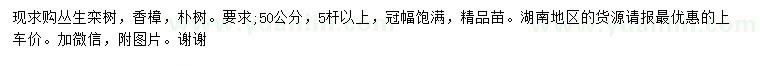 求購(gòu)叢生欒樹(shù)、香樟、樸樹(shù)