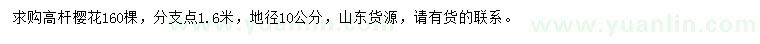 求購(gòu)地徑10公分高桿櫻花