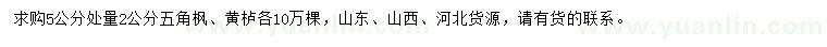 求購(gòu)5公分處量2公分五角楓、黃櫨