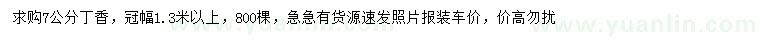 求購7公分丁香