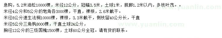 求購油松、皂角、速生法桐等