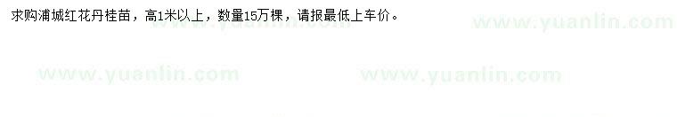 求購(gòu)高1米以上紅花丹桂苗