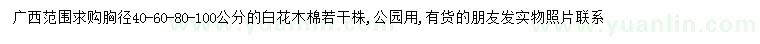求購胸徑40、60、80、100公分白花木棉