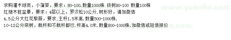 求購(gòu)小蒲葵、鐵樹(shù)、紅繼木等