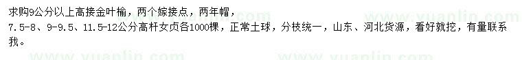 求購9公分以上高接金葉榆、7.5-8、9-9.5、11.5-12公分高桿女貞