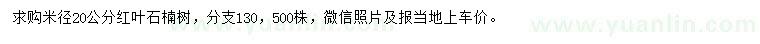 求購米徑20公分紅葉石楠樹