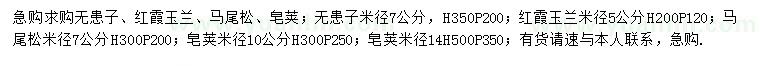 求購(gòu)無(wú)患子、紅霞玉蘭、馬尾松等