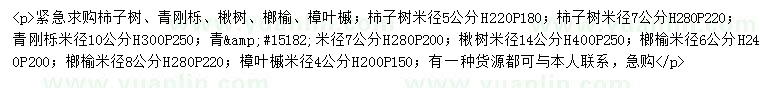 求購柿子樹(shù)、青剛櫟、楸樹(shù)等