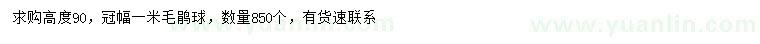 求購高90公分毛鵑球