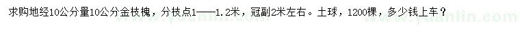 求購地徑10公分量10公分金枝槐