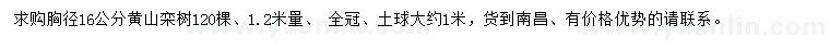 求購胸徑16公分黃山欒樹