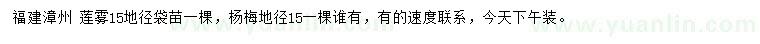 求購(gòu)地徑15公分蓮霧、楊梅