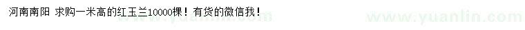 求購高1米紅玉蘭