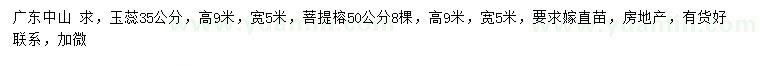 求購35公分王蕊、50公分菩提榕