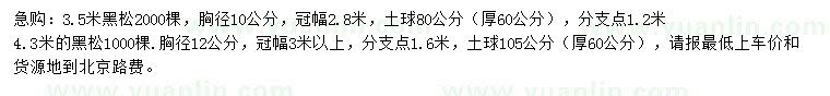 求購3.5、4.3米黑松