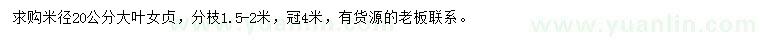 求購米徑20公分大葉女貞