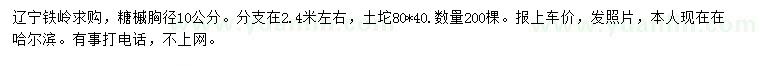 求購胸徑10公分糖槭