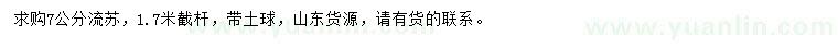 求購7公分流蘇