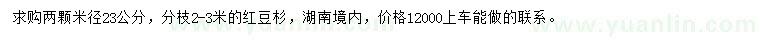 求購(gòu)米徑23公分紅豆杉