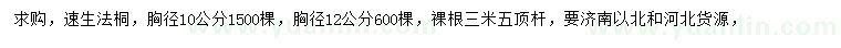 求購胸徑10、12公分速生法桐
