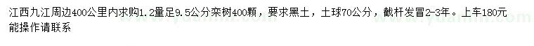 求購1.2量足9.5公分欒樹