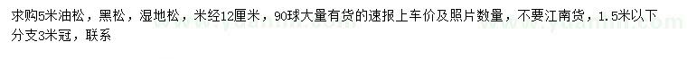 求購油松、黑松、濕地松