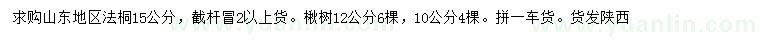 求購15公分法桐、10、12公分楸樹