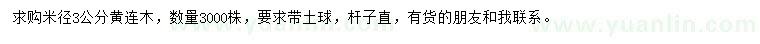 求購米徑3公分黃連木