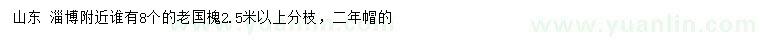 求購8公分老國槐
