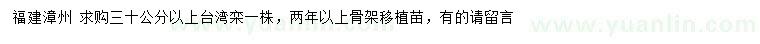 求購30公分以上臺(tái)灣欒