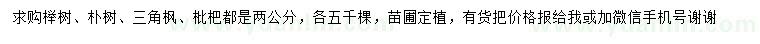 求購(gòu)櫸樹、樸樹、三角楓等